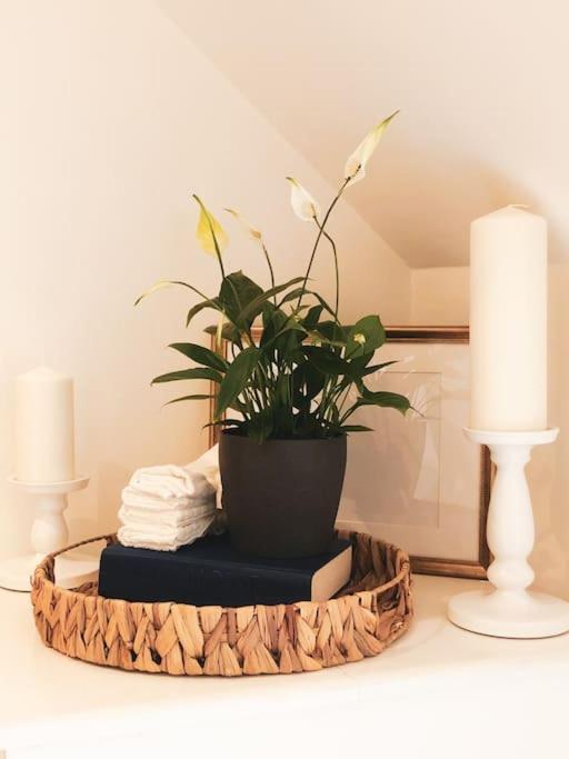 The Sycamore Retreat - Hampstead ロンドン エクステリア 写真